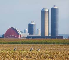 silos on farm